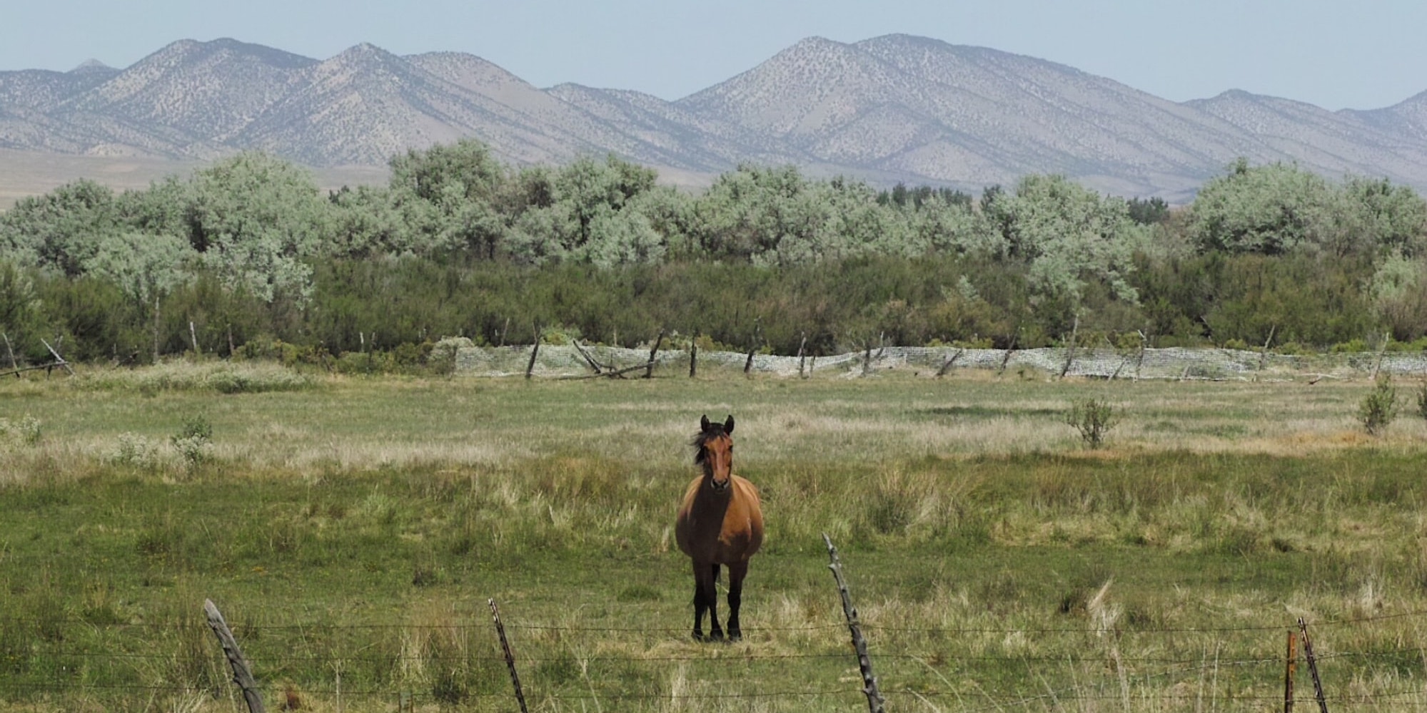 America: Road Trip Simulator screenshot